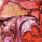 Dew-Scented - Immortelle Dew-Scented - Immortelle
