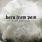 Born From Pain - In Love With The End Born From Pain - In Love With The End