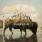 Silverstein - This Is How The Wind Shifts Silverstein - This Is How The Wind Shifts