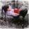 Tegan And Sara - Under Feet Like Ours Tegan And Sara - Under Feet Like Ours