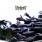 Slipknot - 9.0: Live Slipknot - 9.0: Live