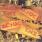 AC/DC - T.N.T. AC/DC - T.N.T.