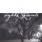 Sights & Sounds - Sights & Sounds Sights & Sounds - Sights & Sounds
