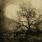 Dead Soul Tribe - The January Tree Dead Soul Tribe - The January Tree