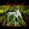 From The Inside - Visions From The Inside - Visions