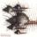 Primitive Reason - The Firescroll Primitive Reason - The Firescroll