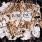 Pure Inc. - Parasites and Worms Pure Inc. - Parasites and Worms