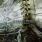 Unreal Overflows - Architecture of Incomprehension Unreal Overflows - Architecture of Incomprehension