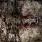 Vomitory - Euphoric Carnage Vomitory - Euphoric Carnage